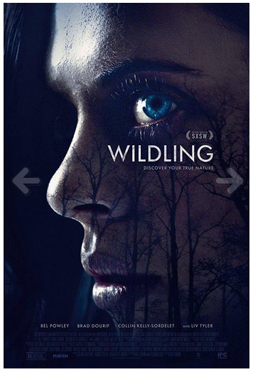 Criaturas Nocturnas 2018 ES